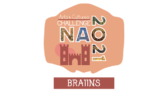 Frignano discovery / NAO Challenge Brains
