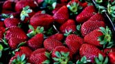 Strawberries 629180 1920