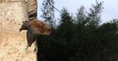 Appuntamenti alla Riserva di Sassoguidano