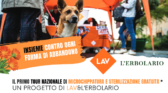 Insieme contro ogni forma di abbandono