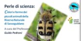 Tra Scienza e Musica: colori e forme dei piccoli animali della Riserva