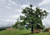 Escursioni culturali - Alla scoperta del Frignano