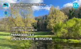Passeggiate e visite guidate in Riserva