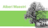 Alberi Maestri - Fotografie di Cesare Leonardi, Francesco Fantoni, Chiara Ferrin, T J Watt