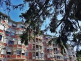 Risultati del sondaggio sulla rigenerazione dell'area verde centrale di Piazza Toscanini