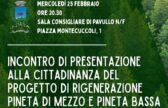 Rigenerazione della pineta di mezzo e pineta bassa