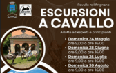 Escursioni a cavallo per esperti e principianti