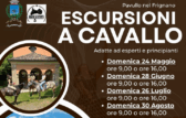 Escursioni a cavallo per esperti e principianti